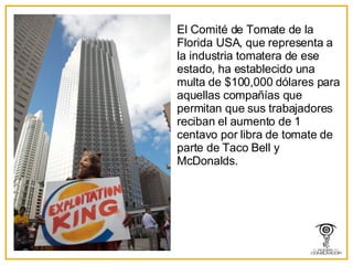 El Comité de Tomate de la Florida USA, que representa a la industria tomatera de ese estado, ha establecido una multa de $100,000 d ó lares para aquellas compañ í as que permitan que sus trabajadores reciban el aumento de 1 centavo por libra de tomate de parte de Taco Bell y McDonalds. 