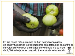 En los casos más extremos se han descubierto casos de esclavitud donde los trabajadores son detenidos en contra de su voluntad y reciben amenazas de violencia y/o de muerte. Más de 1,000 trabajadores han sido liberados de estas condiciones. 