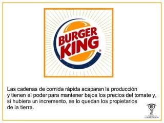 Las cadenas de comida rápida acaparan la producción y tienen el poder para mantener bajos los precios del tomate y, si hubiera un incremento, se lo quedan los propietarios de la tierra. 