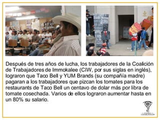 Después de tres años de lucha, los trabajadores de la Coalición de Trabajadores de Immokalee (CIW, por sus siglas en inglés), lograron que Taco Bell y YUM Brands (su compañía madre) pagaran a los trabajadores que pizcan los tomates para los restaurants de Taco Bell un centavo de dolar más por libra de tomate cosechada. Varios de ellos lograron aumentar hasta en un 80% su salario. 