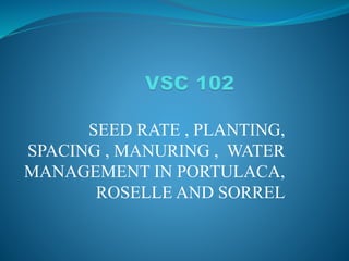 SEED RATE , PLANTING,
SPACING , MANURING , WATER
MANAGEMENT IN PORTULACA,
ROSELLE AND SORREL
 