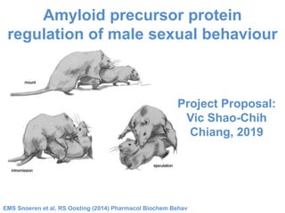 EMS Snoeren et al. RS Oosting (2014) Pharmacol Biochem Behav
Amyloid precursor protein
regulation of male sexual behaviour
Project Proposal:
Vic Shao-Chih
Chiang, 2019
 
