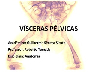 VÍSCERAS PÉLVICAS
Acadêmico: Guilherme Sêneca Sicuto
Professor: Roberto Yamada
Disciplina: Anatomia
 