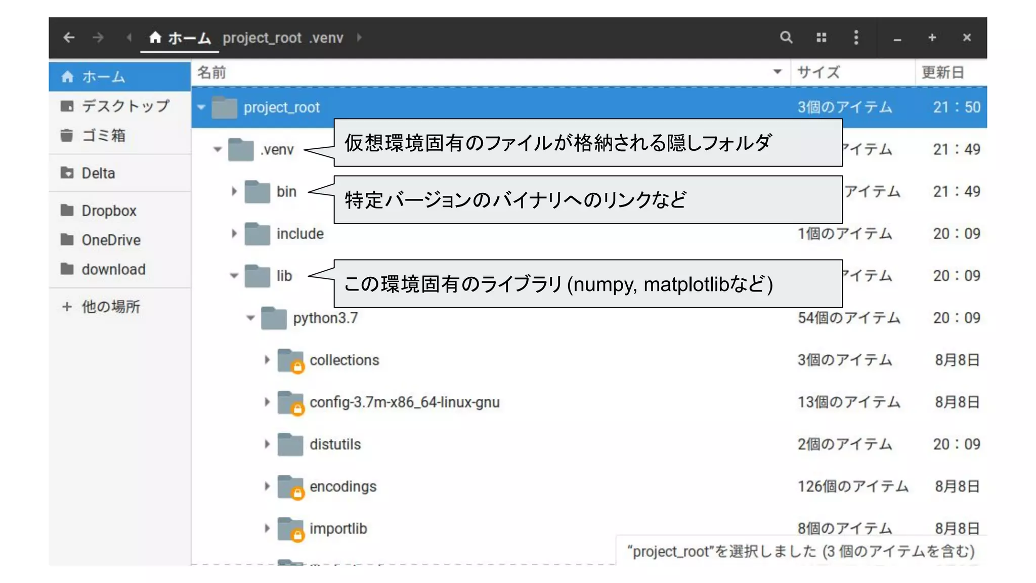 仮想環境固有のファイルが格納される隠しフォルダ
特定バージョンのバイナリへのリンクなど
この環境固有のライブラリ (numpy, matplotlibなど)
 