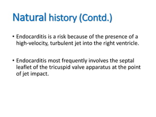 Natural history (Contd.)
• Endocarditis is a risk because of the presence of a
high-velocity, turbulent jet into the right ventricle.
• Endocarditis most frequently involves the septal
leaflet of the tricuspid valve apparatus at the point
of jet impact.
 