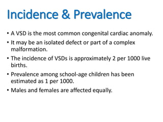 Incidence & Prevalence
• A VSD is the most common congenital cardiac anomaly.
• It may be an isolated defect or part of a complex
malformation.
• The incidence of VSDs is approximately 2 per 1000 live
births.
• Prevalence among school-age children has been
estimated as 1 per 1000.
• Males and females are affected equally.
 