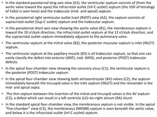 • In the standard parasternal long-axis view (A1), the ventricular septum consists of (from the
aortic valve toward the apex) the infracristal outlet (Inf-C outlet) septum (the VSD of tetralogy
of Fallot is seen here) and the trabecular (mid- and apical) septum.
• In the parasternal right ventricular outlet tract (RVOT) view (A2), the septum consists of
supracristal outlet (Sup-C outlet) septum and the trabecular septum.
• In the parasternal short-axis view showing the aortic valve (B1), the membranous septum is
toward the 10 o’clock direction, the infracristal outlet septum at the 12 o’clock direction, and
the supracristal outlet septum immediately adjacent to the pulmonary valve.
• The ventricular septum at the mitral valve (B2), the posterior muscular septum is inlet (INLET)
septum.
• The ventricular septum at the papillary muscle (B3) is all trabecular septum, so that one can
easily classify the defect into anterior (ANT), mid- (MID), and posterior (POST) trabecular
defects.
• In the apical four-chamber view showing the coronary sinus (C1), the ventricular septum is
the posterior (POST) trabecular septum.
• In the apical four-chamber view showing both atrioventricular (AV) valves (C2), the septum
immediately beneath the tricuspid valve is the inlet septum (INLET) and the remainder is the
mid- and apical septa.
• The thin septum between the insertion of the mitral and tricuspid valves is the AV septum
(C2), a defect which can result in a left ventricle (LV)–to–right atrium (RA) shunt.
• In the standard apical four-chamber view, the membranous septum is not visible. In the apical
“five-chamber” view (C3), the membranous (MEMB) septum is seen beneath the aortic valve,
and below it is the infracristal outlet (Inf-C outlet) septum.
 