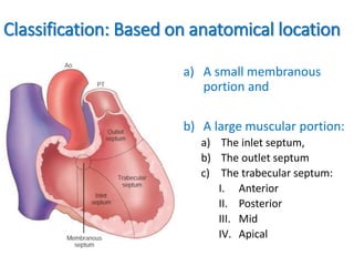 Classification: Based on anatomical location
a) A small membranous
portion and
b) A large muscular portion:
a) The inlet septum,
b) The outlet septum
c) The trabecular septum:
I. Anterior
II. Posterior
III. Mid
IV. Apical
 