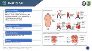 VSD (congenital heart disease explained).pptx