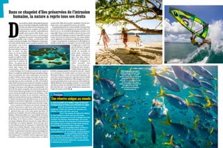 Uneréserveuniqueaumonde
Lestanduppaddleestlemeilleurmoyendedécouvrir
l’archipel vierge de Palaos sans enfreindre les règles.
D
ansunsilenceabsolu,Manuglisselentement
surunmiroirbleutranslucide,émailléd’îlots
vertfluoauxalluresdebrocolisgéants.Seul
le mouvement de sa pagaie crée d’infimes
ondulations. Sur son dos, confortablement
installée dans un porte-­bébé, Shadé, 1 an et
demi, se laisse bercer par le cheminement
aquatiquedesonpère.Unejournéepaisible
en stand up paddle (sup) à Palaos, un labyrinthe d’îles
­rocherscouvertesdejungle,entrePhilippinesetPapouasie.
Del’autrecôtédumiroir,toutunpeupledepoissonss’ébat
sans crainte. Car, ici, il est
interdit de jeter l’ancre ou
de­poserlepiedsurcertaines
îles. Le corail est donc
­intact, et c’est un véritable
jardin d’éden océanique
peuplé de milliers d’habi-
tantsmulticoloresquis’épa-
nouit sous la planche de
Manu. « En quinze ans de
trips,c’estleplusbelunivers
marin dans lequel nous
avons évolué », confie-t-il.
L’océan Pacifique est le terrain de jeu favori de Carine et
Manu.Cecoupledewindsurfersfrançais,hawaiiensd’adop-
tion, est coutumier des virées ­exploratrices du bout du
monde. À Palaos, réserve unique au monde, ils sont servis !
En 2014, ce sera le premier État à interdire la pêche com-
merciale dans ses eaux territoriales. En 2001 a été fondé le
PalauSharkSanctuarypourmettrefinàlapêcheaurequin
et,neufansplustard,lesanctuairerécompenséparl’Ocean
Heritage Award pour cette politique exceptionnelle. Car,
dès la fin des années cinquante, des mesures de protection
environnementalesansprécédentontétéadoptéesdanscet
ancien champ de bataille de la guerre du Pacifique. L’idée
était de panser les plaies de ces territoires convertis en
­bastions et stocks d’armes pour les combattants. Les Seven-
ty Islands sont désormais interdites d’accès. Et le reste du
territoireestsévèrementréglementé.Lestandupestdoncle
meilleurmoyenpourpartiràladécouvertedecesîlesvierges.
Tout a commencé à Maui par une journée classique de
surf sur Internet pour explorer les cartes marines. Manu
tombeenarrêtsuruneimageaériennedesSeventyIslands.
Il apprend alors que c’est le plus grand sanctuaire de
­poissons sur la planète. Il ne lui en faut pas plus pour em-
barquerCarineetleursfillesLou(7ans)etShadé.Dixheures
de vol plus tard, ils atterrissent à Babeldaob, la plus grande
île de Palaos. Il est 9 heures, Manu a l’impression d’avoir
une lampe halogène allumée trop près du visage tellement
le soleil tape. Les couleurs claquent. On est mi-mars mais,
à cette latitude proche de l’équateur, le soleil brûle toute
l’année avec la même intensité. Carine en fait les frais. Elle
passe six heures à surfer sans s’accorder une seule pause à
l’ombre.Lepetitbateaudepêcheurquilesaccompagnepar
sécurité n’offre pas un centimètre carré d’ombre. L’eau est
tropchaudepours’yrafraîchir,maislesvaguessontexcep-
tionnelles. Carine ne voit pas le temps passer. Le soleil se
couche enfin. Bilan de la journée : insolation. Pour les pro-
chains jours, il sera impératif de trouver de l’ombre.
Enquittantlabarrièredecorail,lafamilles’aventuredans
un labyrinthe d’îles champignons ou parasols. Même en
ayant le nez sur ces formations géologiques insolites, il est
impossible d’apercevoir le moindre morceau de terre ou de
rochetellementlavégétationestdense.Impossibled’yposer
le pied. Sous l’eau, le rocher est inversé, les coraux rempla-
cent la végé­tation et les poissons se substituent aux oiseaux.
L’océan y est transparent. En stand up et en file indienne, la
famille se faufile dans ces méandres. Lou est en tête, rasant
la jungle pour y trouver un
peu de ­fraîcheur. Sa pagaie
frôle alors une branche et
­réveille un crocodile en
pleine sieste. L’animal se
laisse glisser doucement
dans l’eau juste entre la
fillette et son père. Petite
frayeur en imaginant la
même rencontre sous
l’eau… « Ici on est aux an-
tipodes de notre monde »,
­expliqueManuquipasseses
journées à plonger quand il n’est pas sur son sup. « Quand
tu es amoureux du monde marin, tu trouves une autre
­dimensionàPalaos.»Carine etLouenfontl’expérience.Au
creuxd’unrocherformantunlac,ellesdécouvrentunballet
de méduses géantes, inoffensives. Elles plongent avec beau-
coup de précaution pour ne pas casser avec leurs palmes les
délicatsfilaments decesétrangescréatures. Louenrecueille
une dans ses mains, la contemple et la respire comme on le
faitd’unefleurrare.Uneimageirréellegravéeàjamaisdans
l’esprit de la mère et de la fille. J
Pratique
• Y aller Vols A-R Paris-Koror Airport (2 escales)
à partir de 1 430 € avec Korean Air, ­koreanair.com
4 460 € (1  ­escale) avec Ana, ana.co.jp
• Où loger Fish n’ Fins propose des logements hôteliers
ou chez l’habitant sur Koror ainsi que des ­randos  
de sup avec campements sur les îles et plongée dans tout
­l’archipel. ­Son directeur, Navot Bornovski, est l’un des
principaux ­activistes de la protection de l’environnement,
très ­impliqué dans la création du Palau Shark Sanctuary
et dans le Reef Protection Project. fishnfins.com
• Regarder le film de l’expéditionTribute To Palau sur  
YouTube.com, et les aventures de Carine et Manu sur
­carinecamboulives.fr et, sur Instagram, ­carinecamboulives.
• En savoir plus Les Seventy Islands National Park
sont interdites depuis 1956. L’expédition de Manu et
­Carine s’est faite à proximité dans d’autres Rock ­Islands  
où l’accès est sévèrement réglementé, nps.gov/pwro/piso
et sharksanctuary.com J S. B.
Dans ce chapelet d’îles préservées de l’intrusion
humaine, la nature a repris tous ses droits
RêveexotiqueIncomparableet
unique,le­paysageoffertparPalaos
a tout du ­mirage  (1). La petite
famille ­s’élance dans la ­luminosité
aveuglante (2). Palaos ne se
prête pas qu’à la pratique du sup,
ici Manu profite d’une passe
ventée parfaite pour windsurfer (3).
Lou passe sa vie sous l’eau
dans un océan aux ­dimensions
d’aquarium géant (4).
1
2
3
4
 