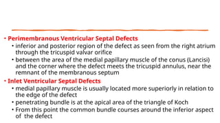 Ventricular Septal Defect (VSD) – Classification, Clinical Features ...