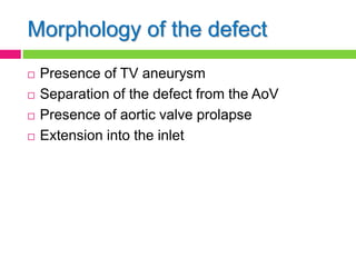 Morphology of the defect
 Presence of TV aneurysm
 Separation of the defect from the AoV
 Presence of aortic valve prolapse
 Extension into the inlet
 