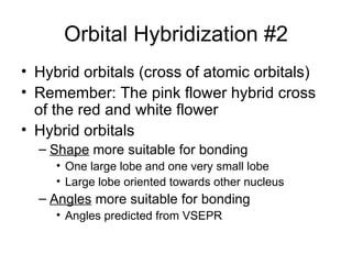 Orbital Hybridization #2 Hybrid orbitals (cross of atomic orbitals) Remember: The pink flower hybrid cross of the red and white flower Hybrid orbitals Shape  more suitable for bonding One large lobe and one very small lobe Large lobe oriented towards other nucleus Angles  more suitable for bonding Angles predicted from VSEPR 