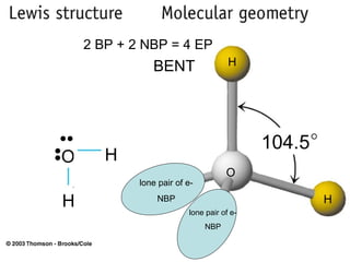 2 BP + 2 NBP = 4 EP BENT O H H ●● lone pair of e- NBP H H O ●● lone pair of e- NBP 104.5 H 