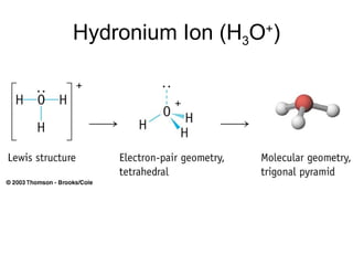 Hydronium Ion (H 3 O + ) 