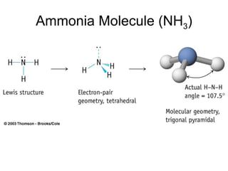 Ammonia Molecule (NH 3 ) 