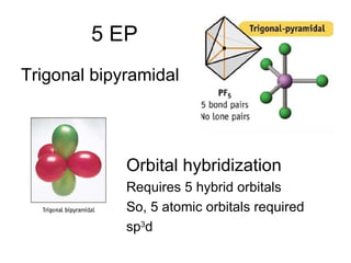 5 EP Trigonal bipyramidal Orbital hybridization Requires 5 hybrid orbitals So, 5 atomic orbitals required sp 3 d 