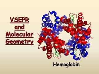 VSEPR
  and
Molecular
Geometry


            Hemoglobin
 
