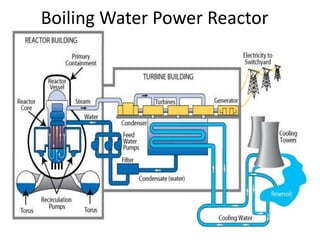Boiling Water Power Reactor
 