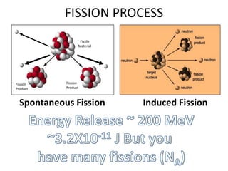 FISSION PROCESS
                   Fissile
                  Material




Fission     Fission
Product     Product



  Spontaneous Fission        Induced Fission
 