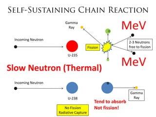 Gamma
                         Ray                           MeV
 Incoming Neutron
                                                             2-3 Neutrons
                                        Fission              free to fission

                         U-235


Slow Neutron (Thermal)
                                                       MeV
 Incoming Neutron

                                                             Gamma
                         U-238                                Ray
                                            Tend to absorb
                       No Fission           Not fission!
                    Radiative Capture
 