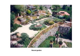 Bonsai garden
 