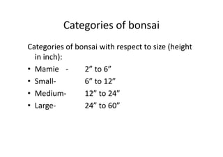 Categories of bonsai
Categories of bonsai with respect to size (height
in inch):
• Mamie - 2” to 6”
• Small- 6” to 12”• Small- 6” to 12”
• Medium- 12” to 24”
• Large- 24” to 60”
 