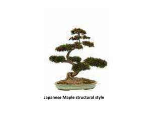 Japanese Maple structural style
 