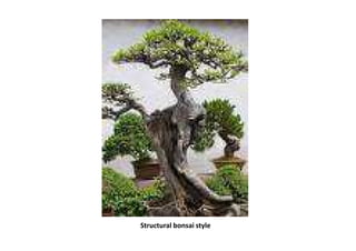 Structural bonsai style
 