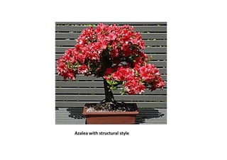Azalea with structural style
 