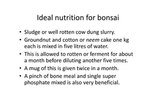 Ideal nutrition for bonsai
• Sludge or well rotten cow dung slurry.
• Groundnut and cotton or neem cake one kg
each is mixed in five litres of water.
• This is allowed to rotten or ferment for about• This is allowed to rotten or ferment for about
a month before diluting another five times.
• A mug of this is given twice in a month.
• A pinch of bone meal and single super
phosphate mixed is also very beneficial.
 