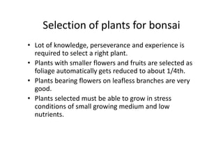Selection of plants for bonsai
• Lot of knowledge, perseverance and experience is
required to select a right plant.
• Plants with smaller flowers and fruits are selected as
foliage automatically gets reduced to about 1/4th.
• Plants bearing flowers on leafless branches are very• Plants bearing flowers on leafless branches are very
good.
• Plants selected must be able to grow in stress
conditions of small growing medium and low
nutrients.
 