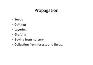 Propagation
• Seeds
• Cuttings
• Layering
• Grafting• Grafting
• Buying from nursery
• Collection from forests and fields.
 