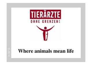 Where animals mean life
 