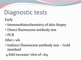 Diagnostic tests 
Early 
Immunohistochemistry of skin biopsy 
 Direct fluorescent antibody test 
PCR 
After 1 wk 
 Indirect fluorescent antibody test – Gold 
standard 
4 fold increase/ titre of >64 
 