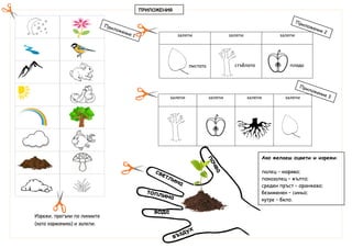 Ако желаеш оцвети и изрежи:
палец – кафяво;
показалец – жълто;
среден пръст – оранжево;
безименен – синьо;
кутре – бяло.
ПРИЛОЖЕНИЯ
залепи залепи залепи
залепи залепи залепи залепи
Изрежи, прегъни по линиите
(като хармоника) и залепи.
вода
листата стъблото плода
 