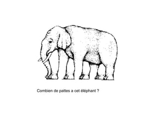 Combien de pattes a cet éléphant ?
 
