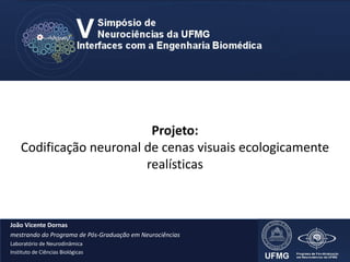 Projeto:
Codificação neuronal de cenas visuais ecologicamente
realísticas
João Vicente Dornas
mestrando do Programa de Pós-Graduação em Neurociências
Laboratório de Neurodinâmica
Instituto de Ciências Biológicas
 