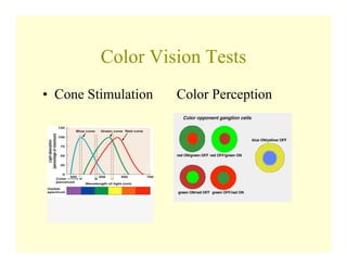 Color Vision Science Vision Science in Optometry | PDF