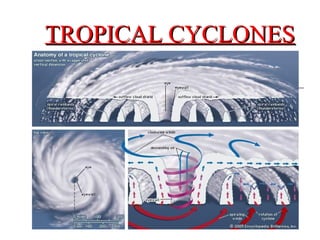 TROPICAL CYCLONES
TROPICAL CYCLONES
 