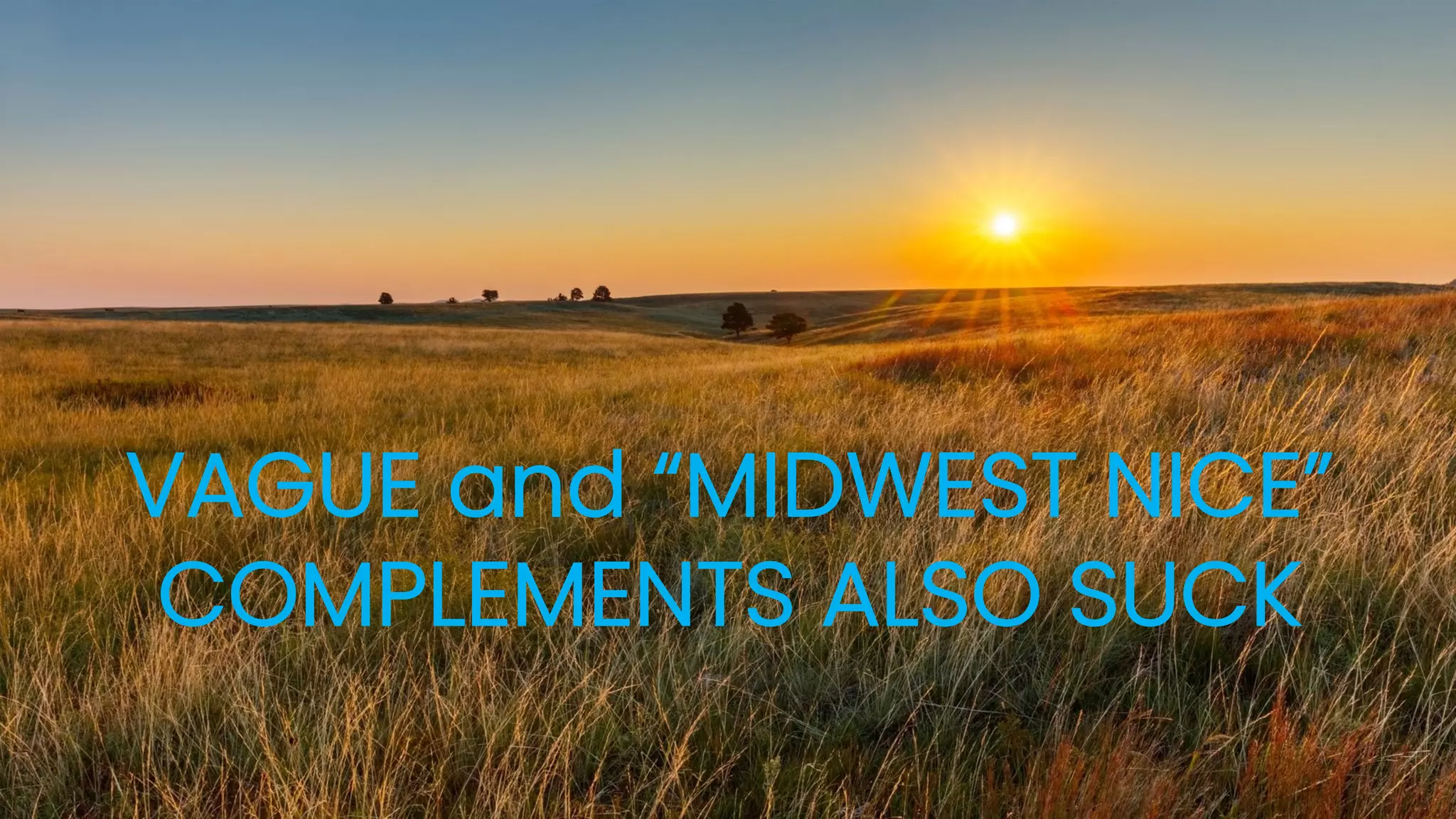 © Polaris LLC. All rights reserved. Disclosure is subject to the restriction on the title page of this document.
VAGUE and “MIDWEST NICE”
COMPLEMENTS ALSO SUCK
 