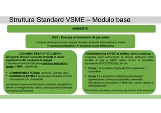 Vsme Explication VSME ESRS Standard Volontario per le PMI non quotate | PDF