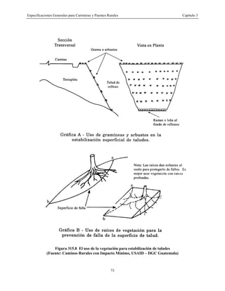 Especificaciones Generales para Carreteras y Puentes Rurales Capítulo 3
73
Figura 315.8 El uso de la vegetación para estabilización de taludes
(Fuente: Caminos Rurales con Impacto Mínimo, USAID – DGC Guatemala)
 