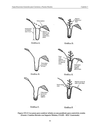 Especificaciones Generales para Carreteras y Puentes Rurales Capítulo 3
80
Figura 315.11 Los pasos para sembrar árboles en una pendiente para control de erosión
(Fuente: Caminos Rurales con Impacto Mínimo, USAID – DGC Guatemala)
 