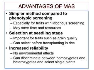 • Simpler method compared to
phenotypic screening
– Especially for traits with laborious screening
– May save time and resources
• Selection at seedling stage
– Important for traits such as grain quality
– Can select before transplanting in rice
• Increased reliability
– No environmental effects
– Can discriminate between homozygotes and
heterozygotes and select single plants
 