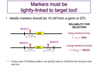 • Ideally markers should be <5 cM from a gene or QTL
• Using a pair of flanking markers can greatly improve reliability but increases time
and cost
Marker A
QTL
5 cM
RELIABILITY FOR
SELECTION
Using marker A only:
1 – rA = ~95%
Marker A
QTL
Marker B
5 cM 5 cM
Using markers A and B:
1 - 2 rArB = ~99.5%
 