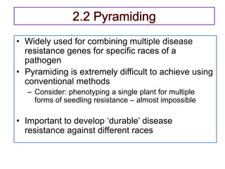 • Widely used for combining multiple disease
resistance genes for specific races of a
pathogen
• Pyramiding is extremely difficult to achieve using
conventional methods
– Consider: phenotyping a single plant for multiple
forms of seedling resistance – almost impossible
• Important to develop ‘durable’ disease
resistance against different races
 