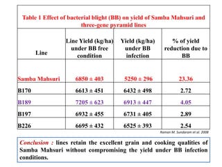 Table 1 Effect of bacterial blight (BB) on yield of Samba Mahsuri and
three-gene pyramid lines
Line
Line Yield (kg/ha)
under BB free
condition
Yield (kg/ha)
under BB
infection
% of yield
reduction due to
BB
Samba Mahsuri 6850 ± 403 5250 ± 296 23.36
B170 6613 ± 451 6432 ± 498 2.72
B189 7205 ± 623 6913 ± 447 4.05
B197 6932 ± 455 6731 ± 405 2.89
B226 6695 ± 432 6525 ± 393 2.54
Conclusion : lines retain the excellent grain and cooking qualities of
Samba Mahsuri without compromising the yield under BB infection
conditions.
Raman M. Sundaram et al. 2008
 