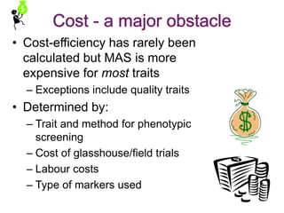 • Cost-efficiency has rarely been
calculated but MAS is more
expensive for most traits
– Exceptions include quality traits
• Determined by:
– Trait and method for phenotypic
screening
– Cost of glasshouse/field trials
– Labour costs
– Type of markers used
 
