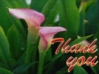 MARKER ASSISTED SELECTION IN CROP IMPROVEMENT